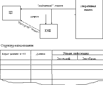 Сетевые операционные системы
