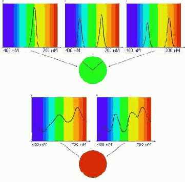 Color Management System
