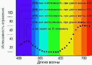 Color Management System
