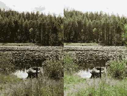 Color Management System