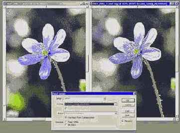 Color Management System