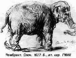 Цвет и линия