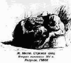 Цвет и линия