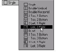 В окне Display Options указывается