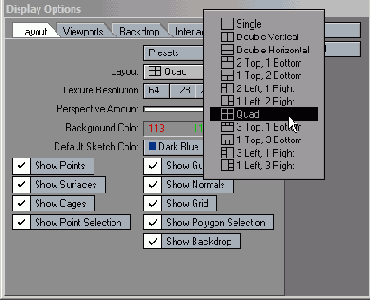 Окно Display Options позволяет