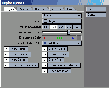 В окне Display Options указывается